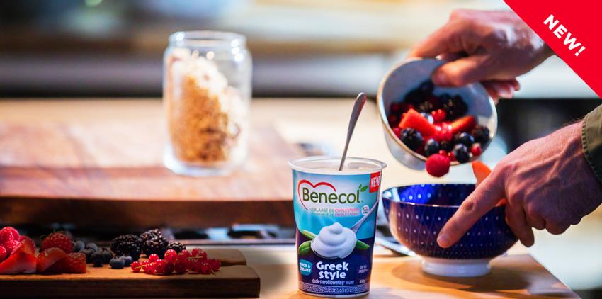 adv_Benecol Greekstyle banner be-1.jpg